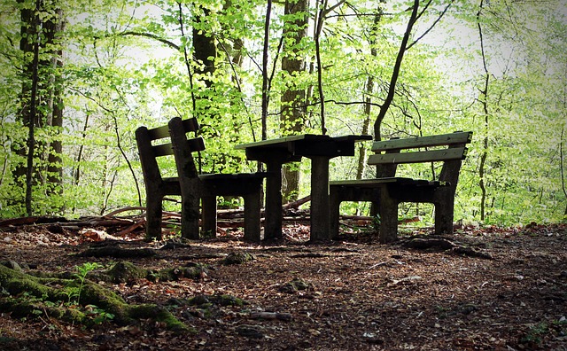 Woods
